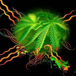 Meet your Posher, Ivanhoe